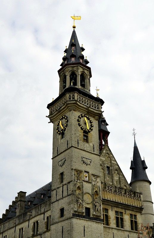 BEFFROI ALOST / AALST BELGIQUE PATRIMOINE MONDIAL UNESCO