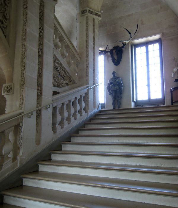 PHOTO CHATEAU DE CHEVERNY (41) LOIR & CHER